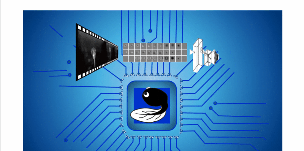 Screenshot 2024 12 12 115154