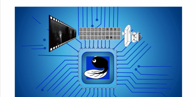 Screenshot 2024 12 12 115154