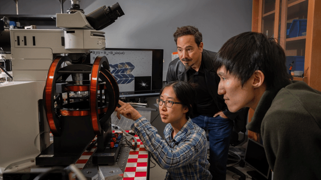 Cornell sviluppa il robot più piccolo al mondo per misurazioni microscopiche 6 image 117
