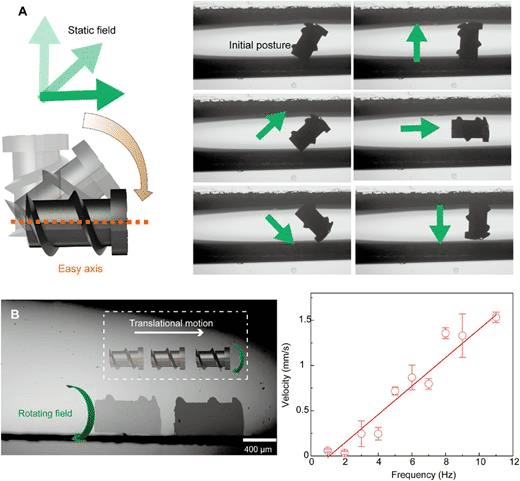 Microrobot magnetico nel trattamento dell'infertilità femminile 8 image 302