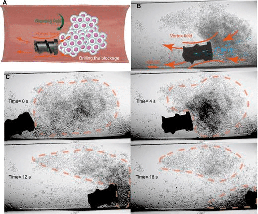 Microrobot magnetico nel trattamento dell'infertilità femminile 9 image 303