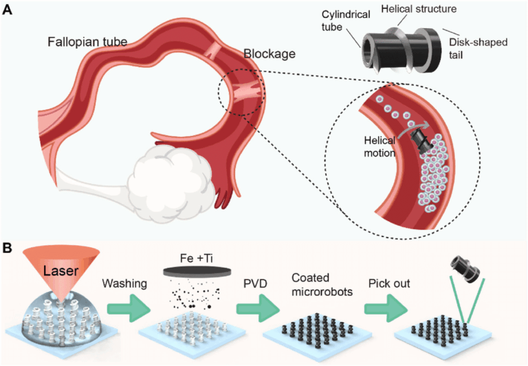 Microrobot magnetico nel trattamento dell'infertilità femminile 9 image 304