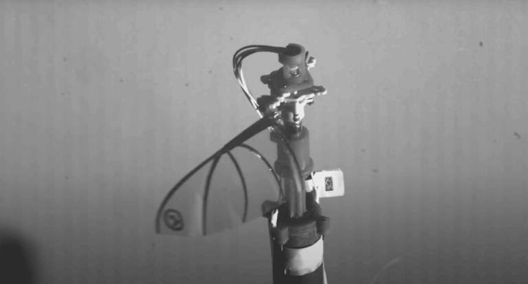 Robot a volo battente: rivoluzione grazie alle Ali flessibili biomimetiche 3 Robot a volo battente
