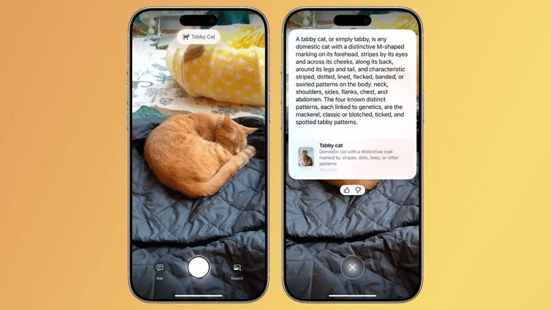 Novità iPhone SE 4, iPhone 17 Air. Aggiornamenti OS e firmware AirPods 14 image 343