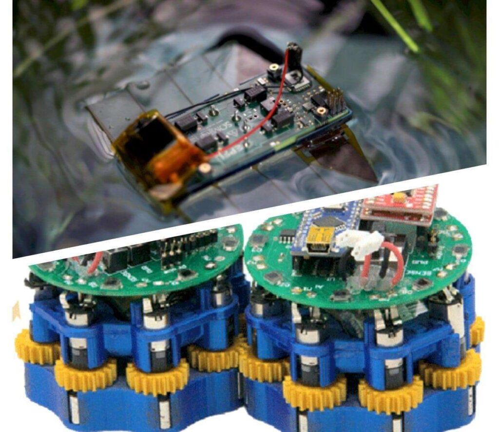 Robot bio ispirati dallacqua alla terra nuove frontiere della robotica intelligente