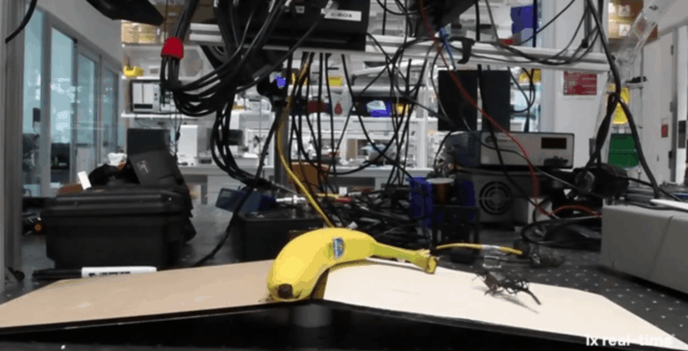 Harvard sviluppa un microrobot ispirato agli springtail con capacità di salto estreme 9 Screenshot 2025 02 27 125721 1