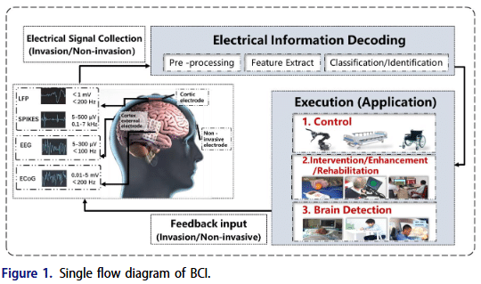 L’interfaccia cervello-computer nell’educazione: strategie di applicazione e diffusione 6 image 138