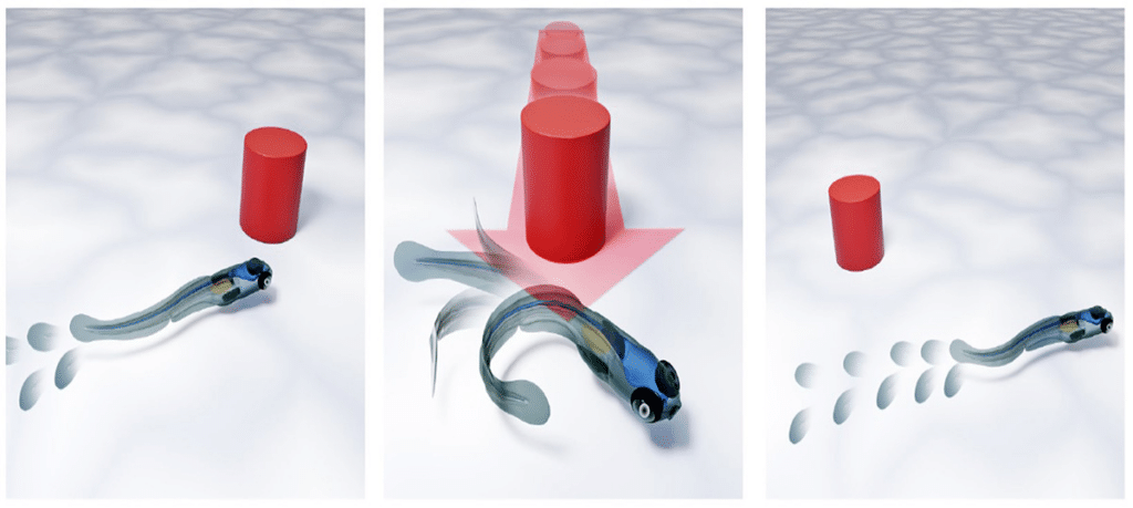 Robot e AI: nuove scoperte sulla comunicazione animale e l’apprendimento rapido 6 image 309