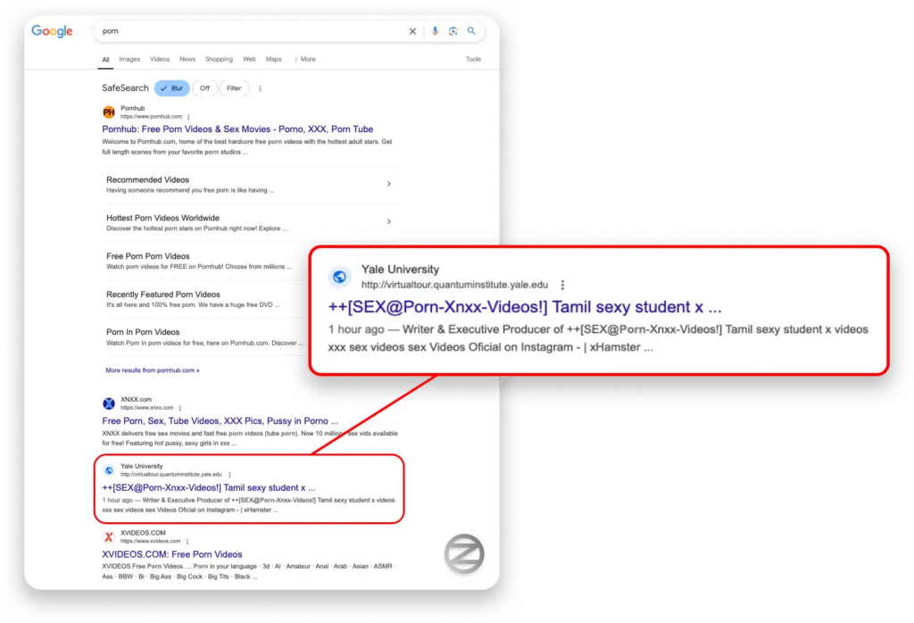 360XSS: vulnerabilità XSS ha trasformato centinaia di siti in strumenti di spam 7 image 442