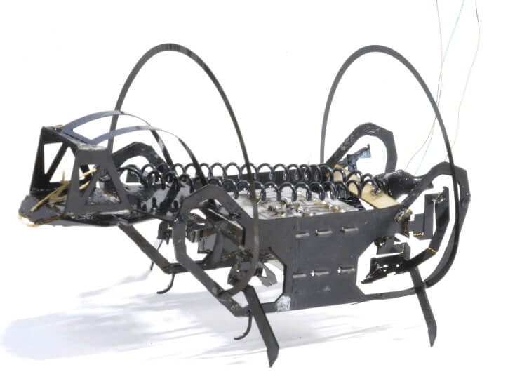 Harvard sviluppa un microrobot ispirato agli springtail con capacità di salto estreme 6 image 452