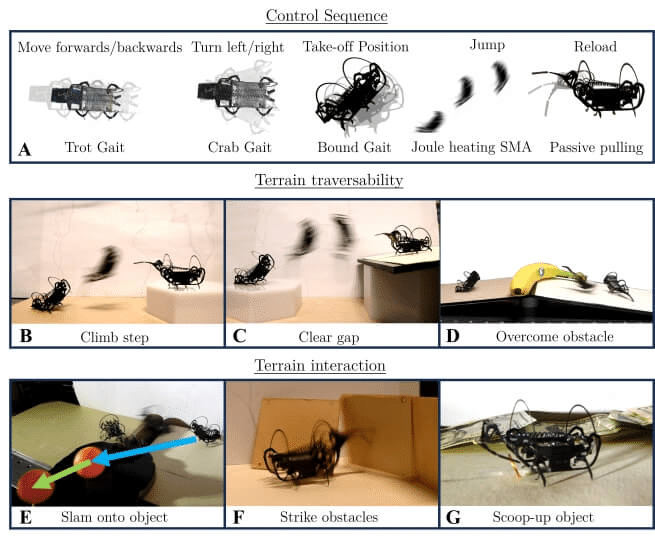 Harvard sviluppa un microrobot ispirato agli springtail con capacità di salto estreme 7 image 453