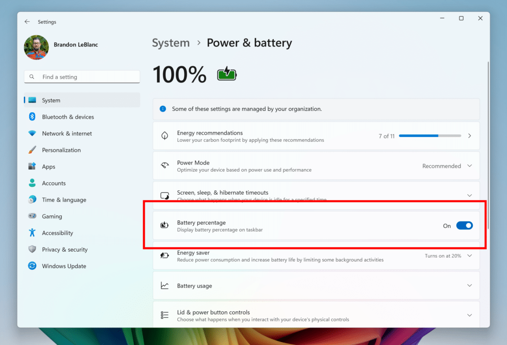 Windows 11: Nuove Build Insider Preview per Canary, Dev e Beta Channel 10 image 497