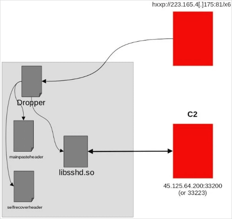 CISA: nuove linee guida per i dispositivi edge mentre APT cinesi utilizzano backdoor SSH 6 image 64
