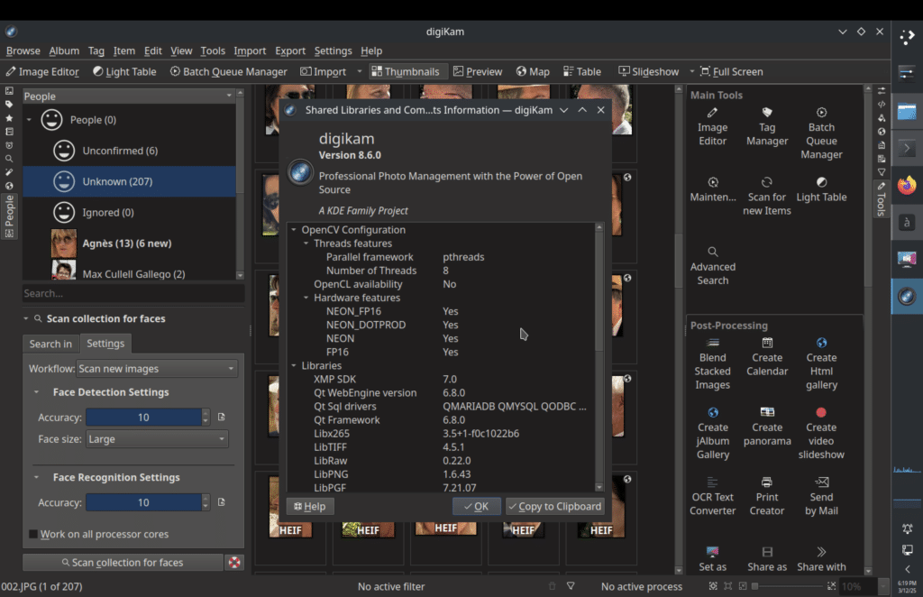 DXVK 2.6 e digiKam 8.6.0: migliorano Gaming e Gestione Immagini 6 image 256