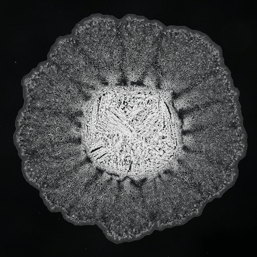 Analisi chimica con intelligenza artificiale: metodo innovativo 8 image 335