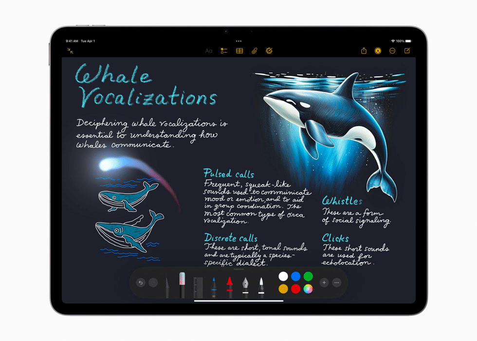 Apple rinnova la gamma iPad e Mac Studio: nuovi chip M3, A16 e M4 in arrivo 8 image 77