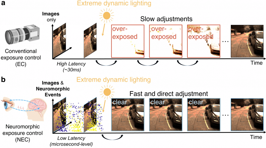 Sistema di esposizione neuromorfico migliora la visione artificiale in condizioni estreme 6 image 89