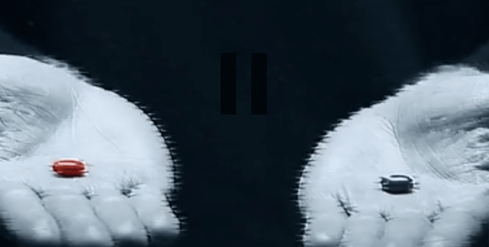 Screenshot 2025 04 15 114132