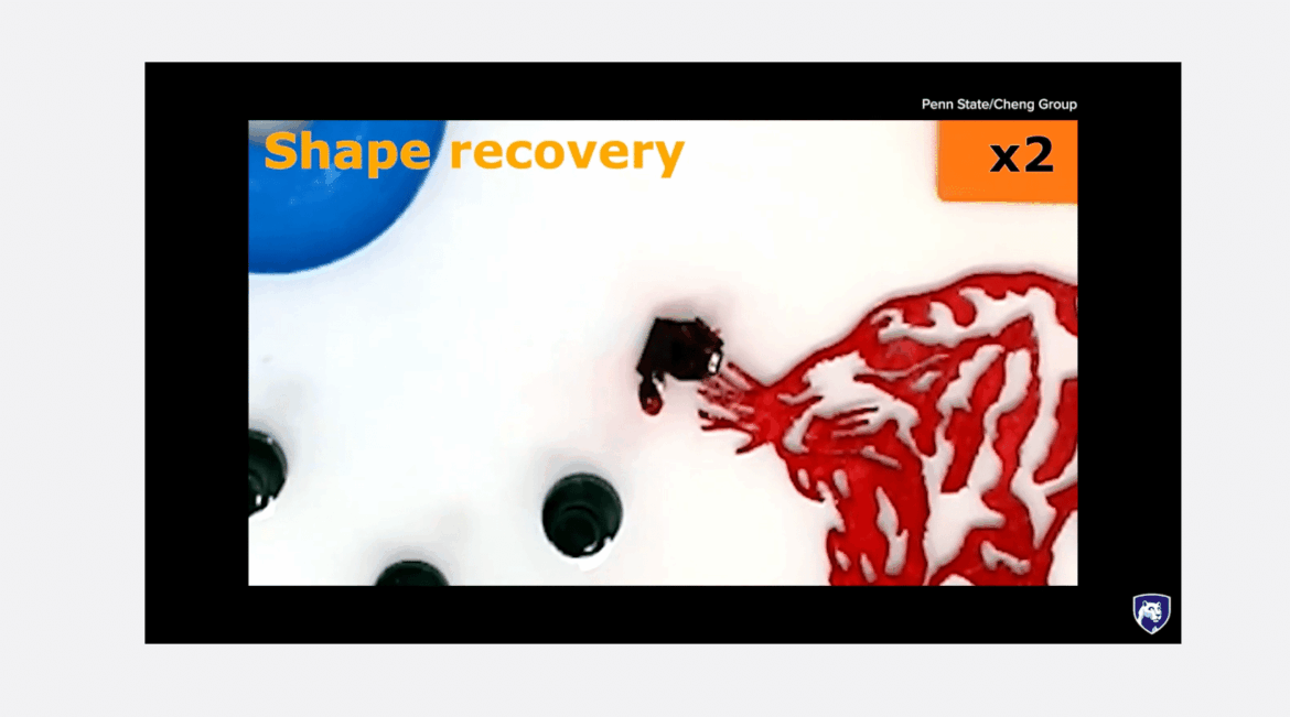 Robot flessibile minuscolo potrebbe rivoluzionare la medicina Robot flessibile minuscolo potrebbe rivoluzionare la medicina