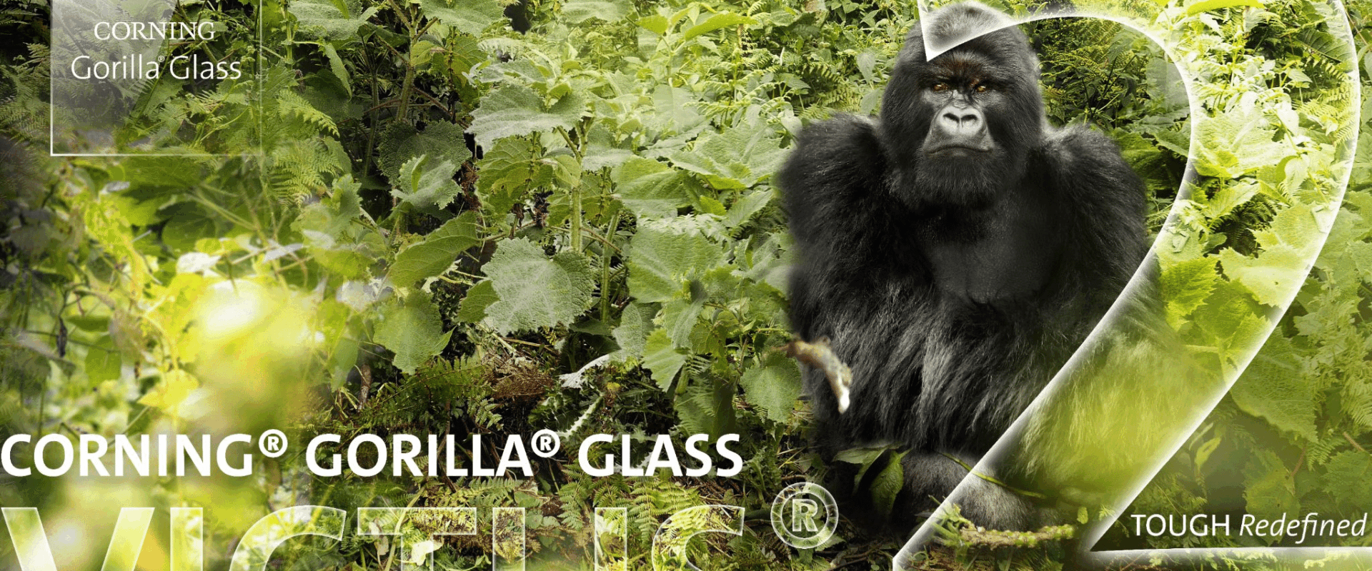 Gorilla Glass Ceramic