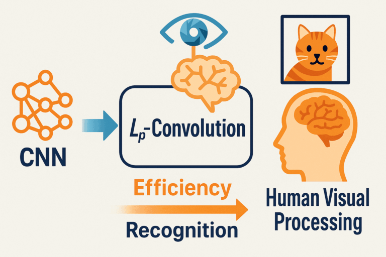 Lp-Convolution rivoluziona la visione artificiale: l’AI imita la corteccia visiva umana 6 Lp-Convolution