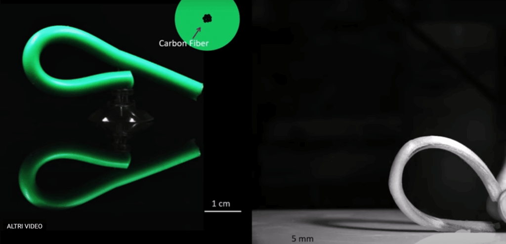 Un robot salta 3 metri senza gambe: ispirato dai nematodi, l’ingegneria imita la biomeccanica più estrema