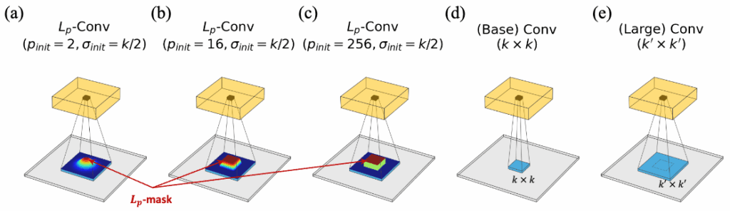 Lp-Convolution rivoluziona la visione artificiale: l’AI imita la corteccia visiva umana 7 image 15