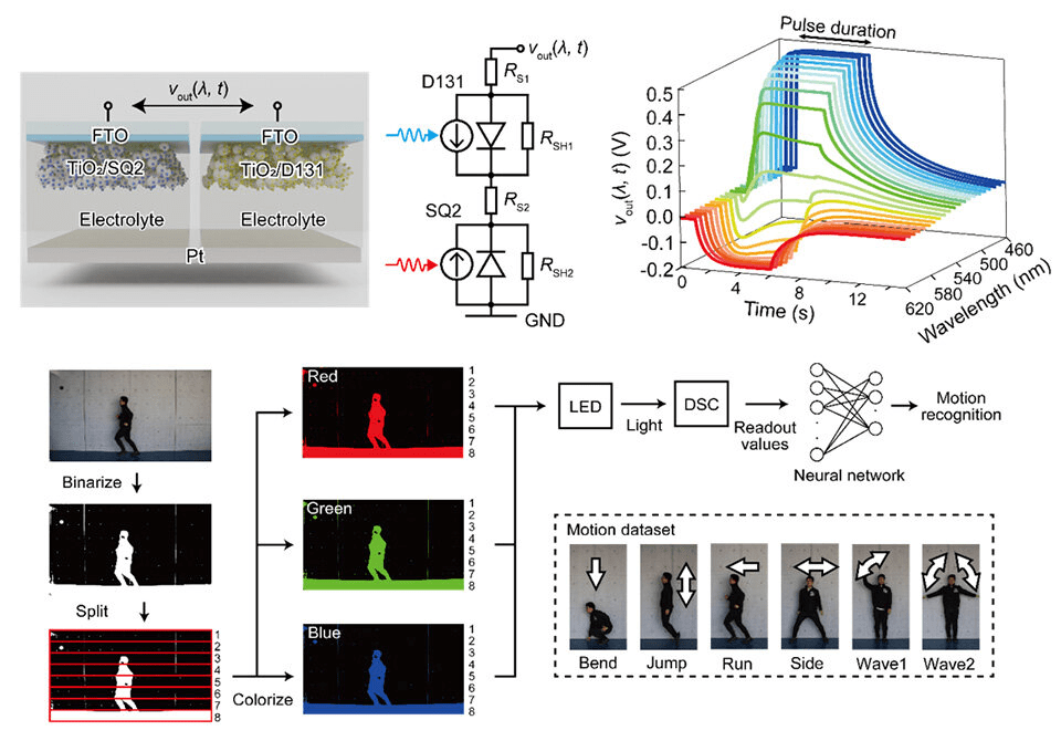 Sinapsi artificiali autoalimentate: verso una visione artificiale a colori simile a quella umana 6 image 28