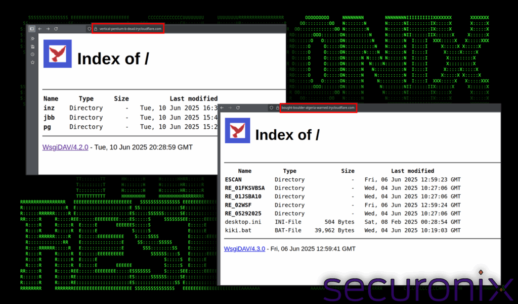 Attacchi SerpentineCloud: abuso dei Cloudflare Tunnel e nuove minacce alla sicurezza cloud 6 image 411