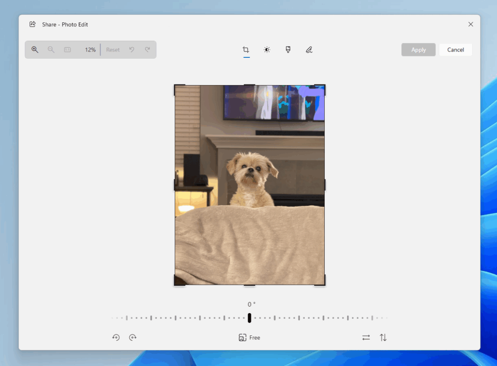 Novità Windows 11 Insider: build 26100 e 27881 e Snipping Tool con GIF 10 image 464