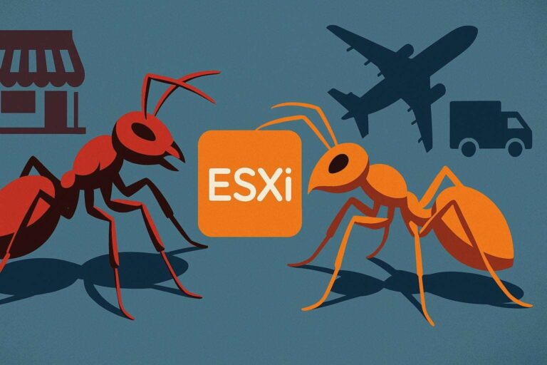 Fire Ant e Scattered Spider: cybercrime e cyberwar colpiscono VMware 4 Image 27 lug 2025 18 55 11