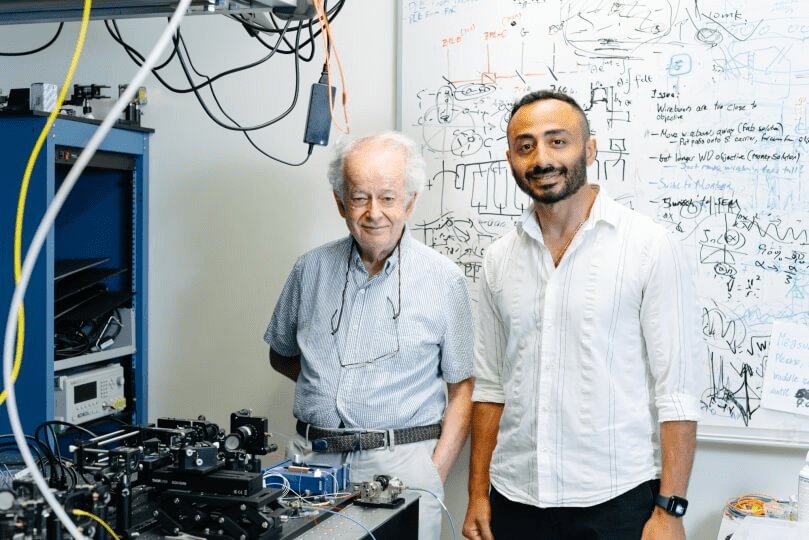 Metasuperfici emergono come processori quantistici innovativi 6 image 488