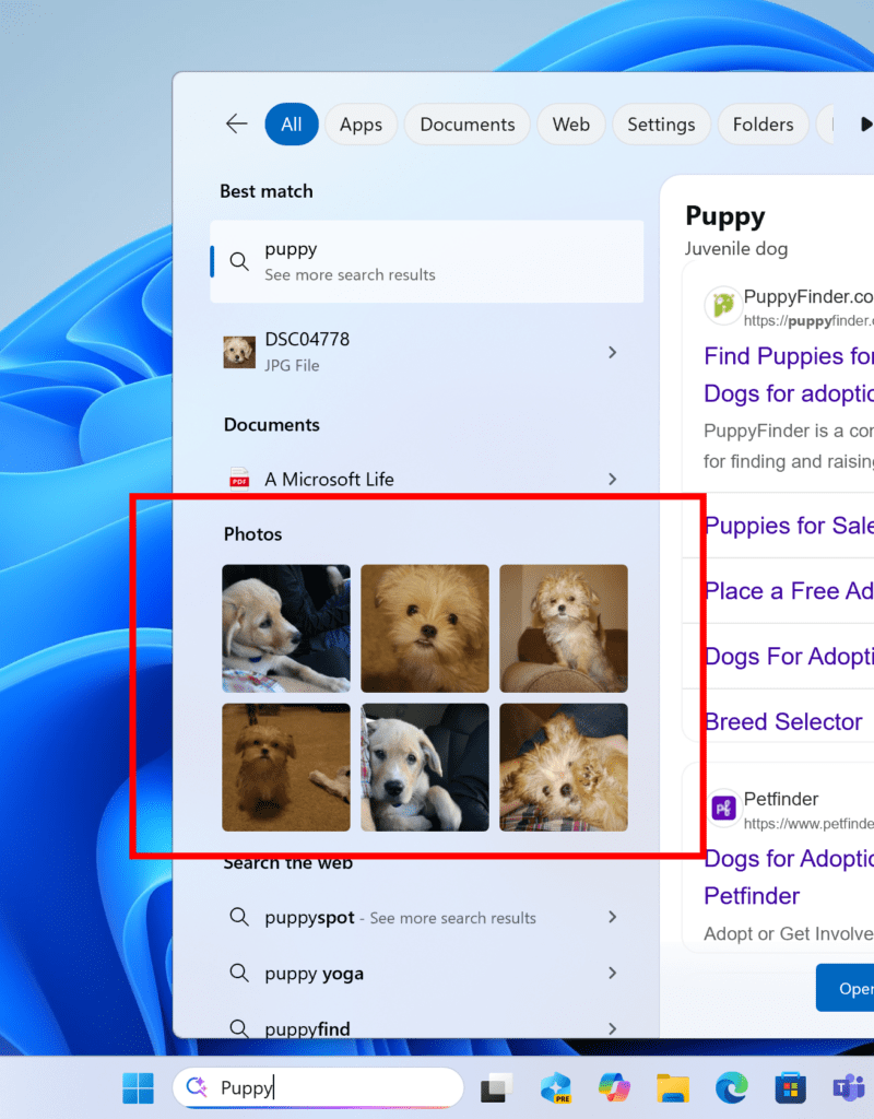 Aggiornamenti Windows 11: build Insider, nuove funzioni Xbox e fine supporto 22H2 9 image 559