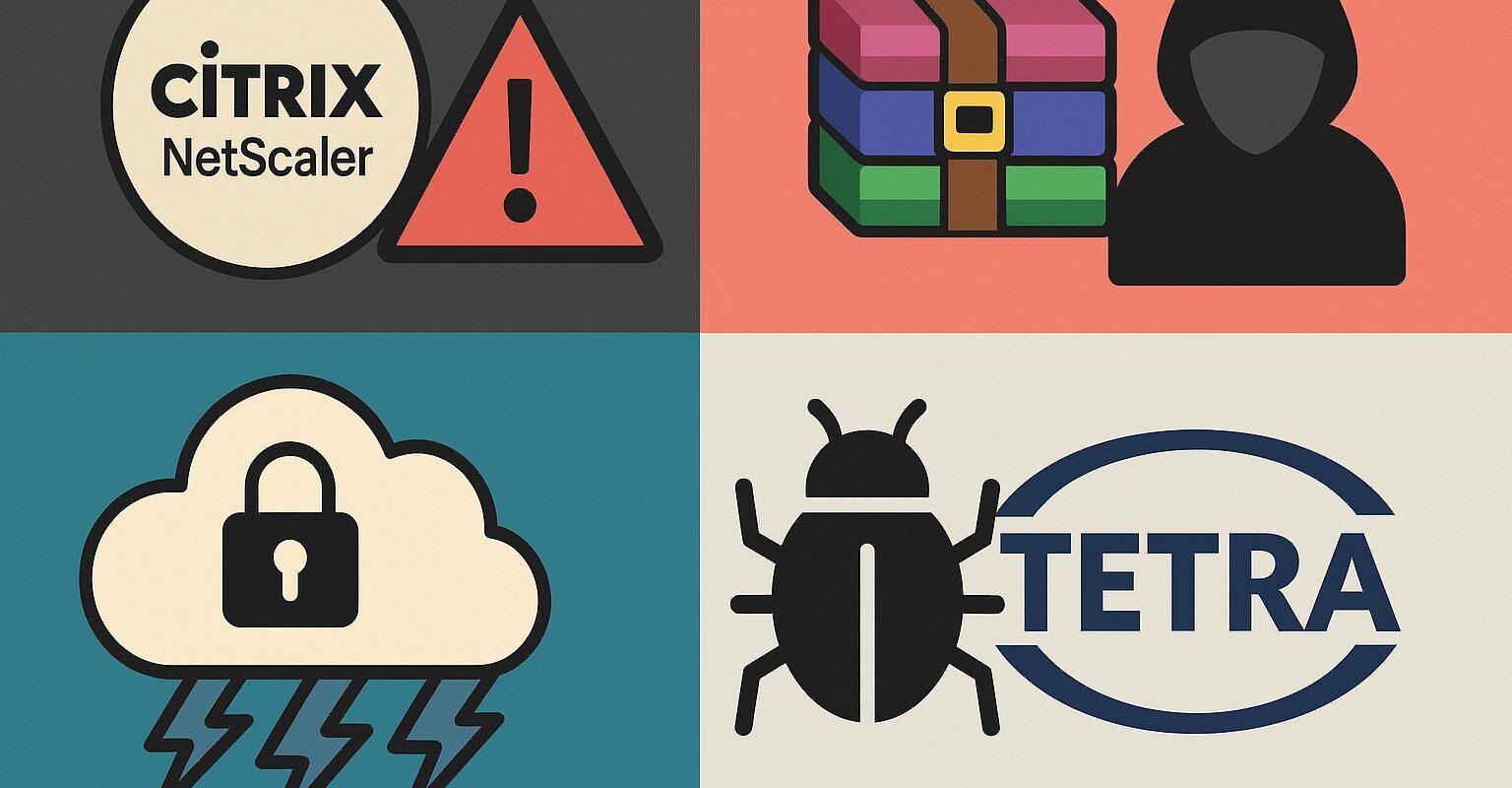 Image 12 ago 2025 11 55 44