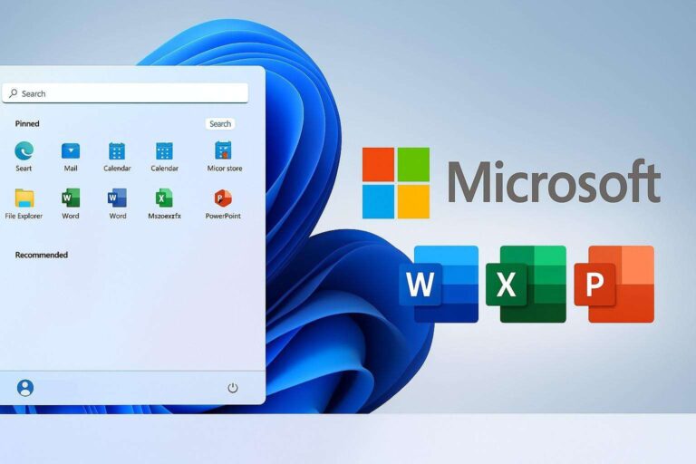 Image 6 set 2025 11 28 03