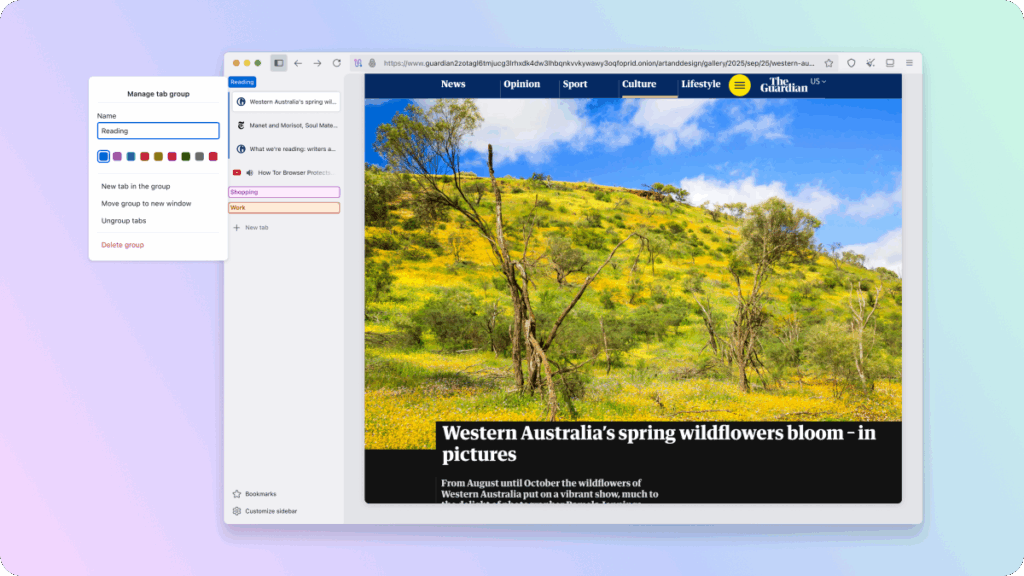 Qt Creator 18.0.0, Tor Browser 15.0 e IPFire 2.29 per sviluppatori, privacy e sicurezza digitale 6 image 943