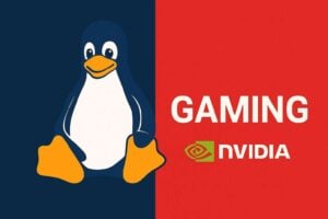 Linux gaming cresce con driver AMD stabili e compatibilità giochi al 90%