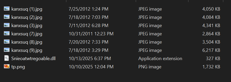 Malware loader multistadio RoningLoader di DragonBreath 8 image 462