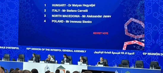 Italia rafforza la lotta al cybercrime con Interpol, CERT-AgID e indagini della Polizia di Stato 6 image 766