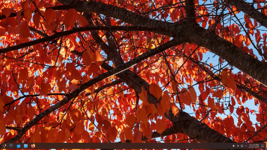 Solus 4.8, CachyOS, 4MLinux 50.0 ed EndeavourOS Ganymede aggiornano kernel e desktop 8 image 799