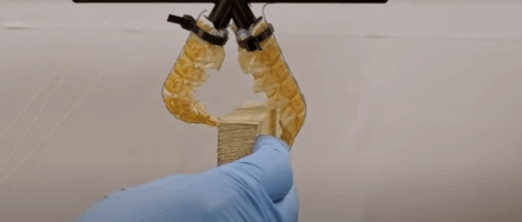 Screenshot 2025 12 29 095041