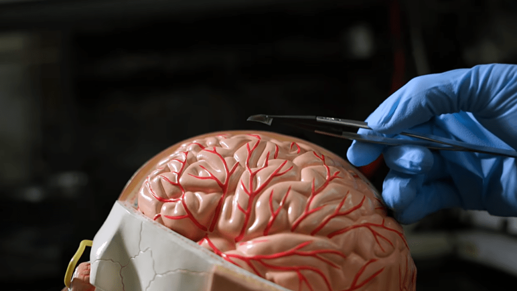 BISC: Il chip cerebrale wireless che trasmette i pensieri in streaming 8 image 458