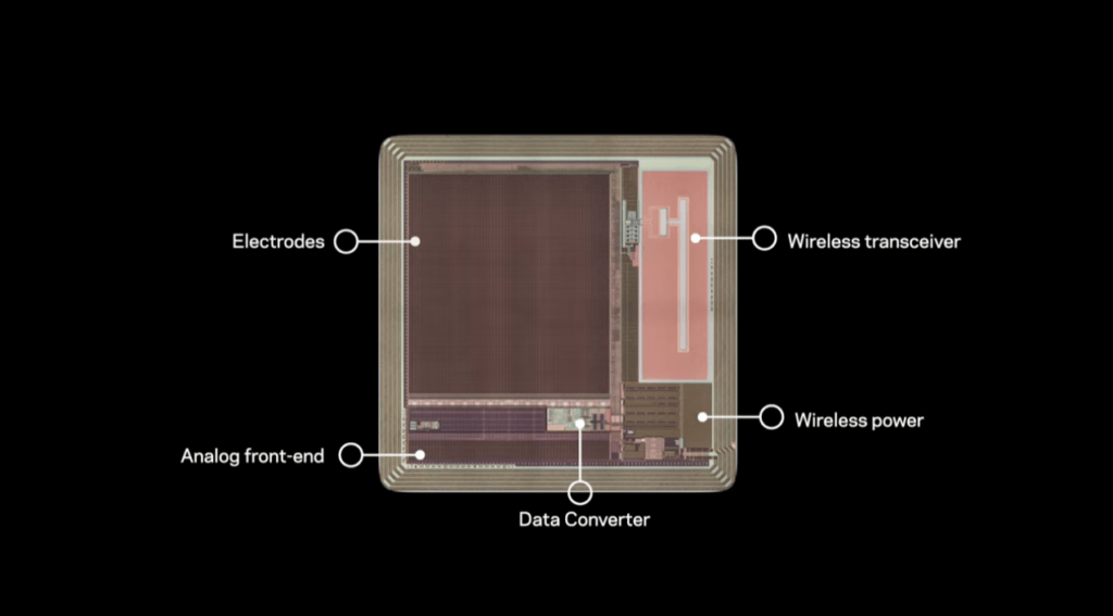 BISC: Il chip cerebrale wireless che trasmette i pensieri in streaming 7 image 459