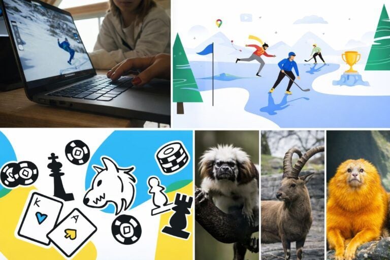 google ai olimpiadi sicurezza quantistica conservazione delle specie