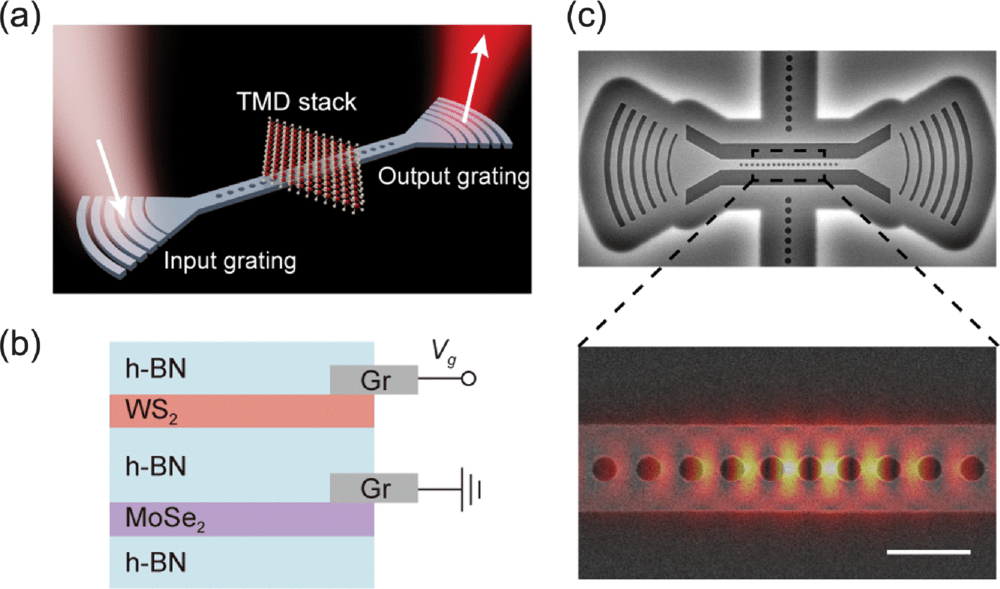 Penn crea particelle luce-materia per chip AI fotonici ultra-efficienti 3 image 517