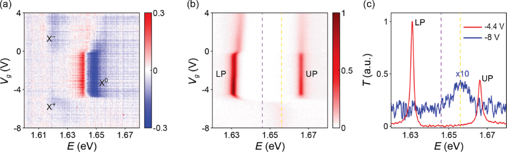 Penn crea particelle luce-materia per chip AI fotonici ultra-efficienti 4 image 518