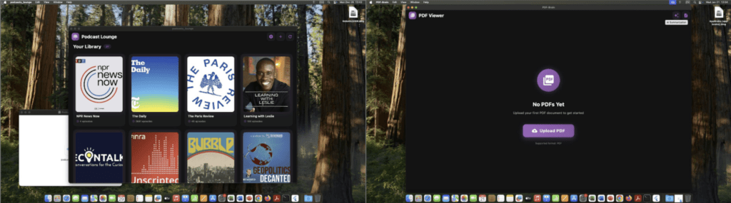 FlutterShell colpisce macOS con malvertising su Google Ads e backdoor Flutter 6 image 225