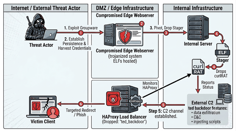 Ted backdoor trasforma HAProxy in un C2 invisibile e intercetta il traffico web 3 image 213