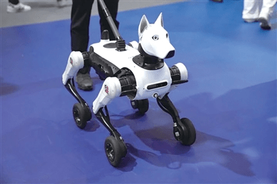 Xiaoyuan debutta in Cina: il robot cane guida supera scale e ostacoli sospesi 3 image 222