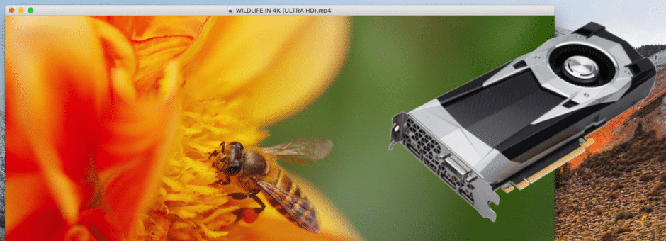 VLC 3.0.24 e Giada 1.6 aggiornano il multimedia open source tra codec e time-stretching 3 image 763